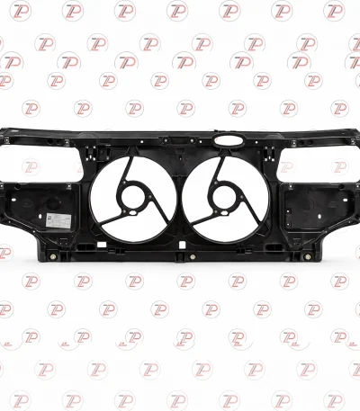 سینی فن پژو 405